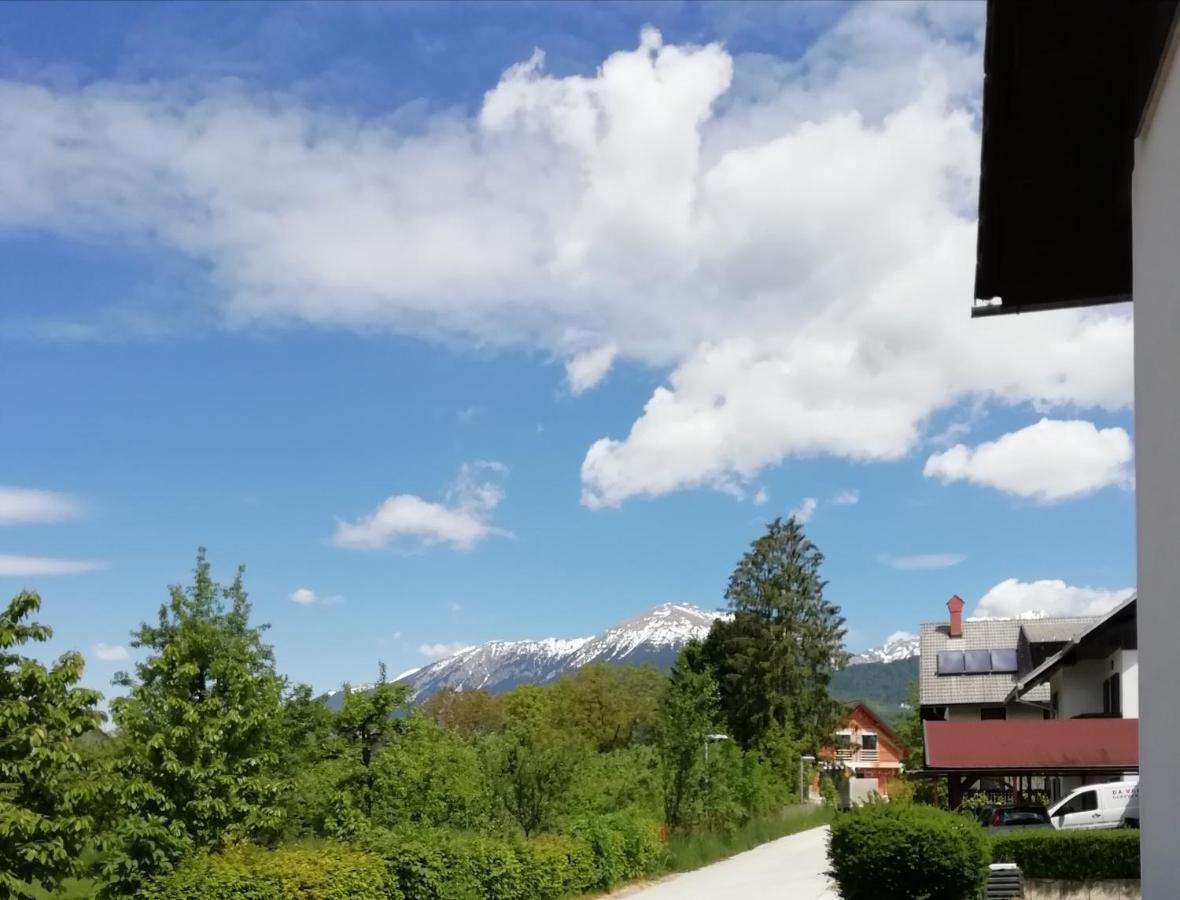 Carniolan House - Gorenska Hiska Radovljica Buitenkant foto